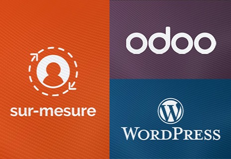 Image représentant l'activité de création de site sur-mesure, avec l'ERP Odoo ou avec le CMS WordPress.